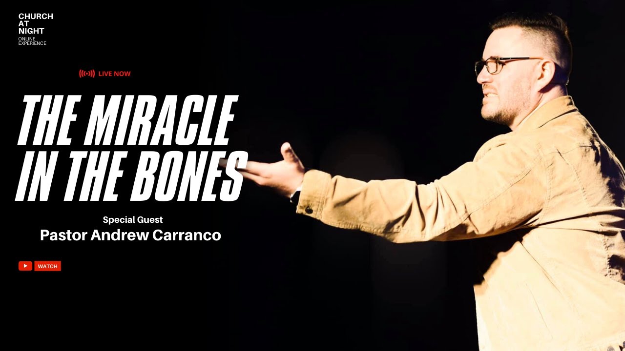 The Miracle In The Bones