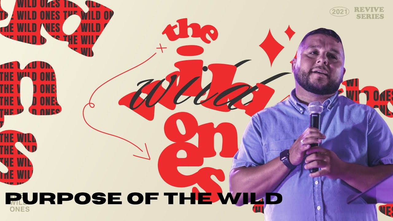The Wild Ones - Purpose of The Wild